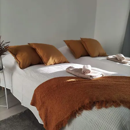 Kampuksen Taehti 포리